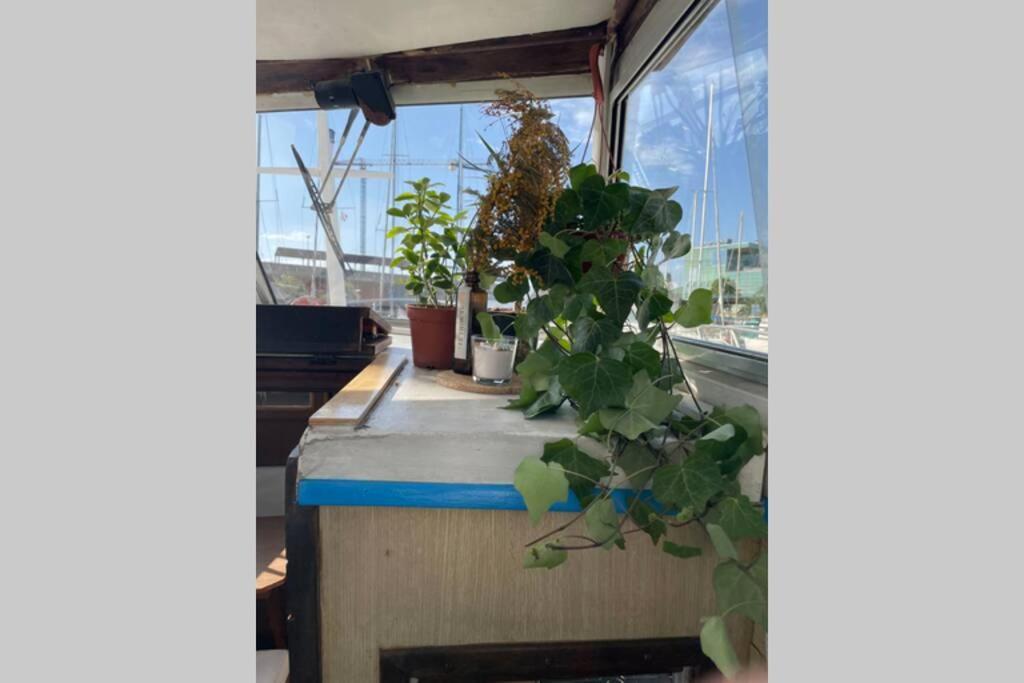 圣阿德里安-德贝索斯 Beautiful 70S Vintage Yacht Boat In Barcelona酒店 外观 照片